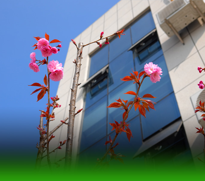 Jining Kendray Chemical Technology Co.,Ltd.